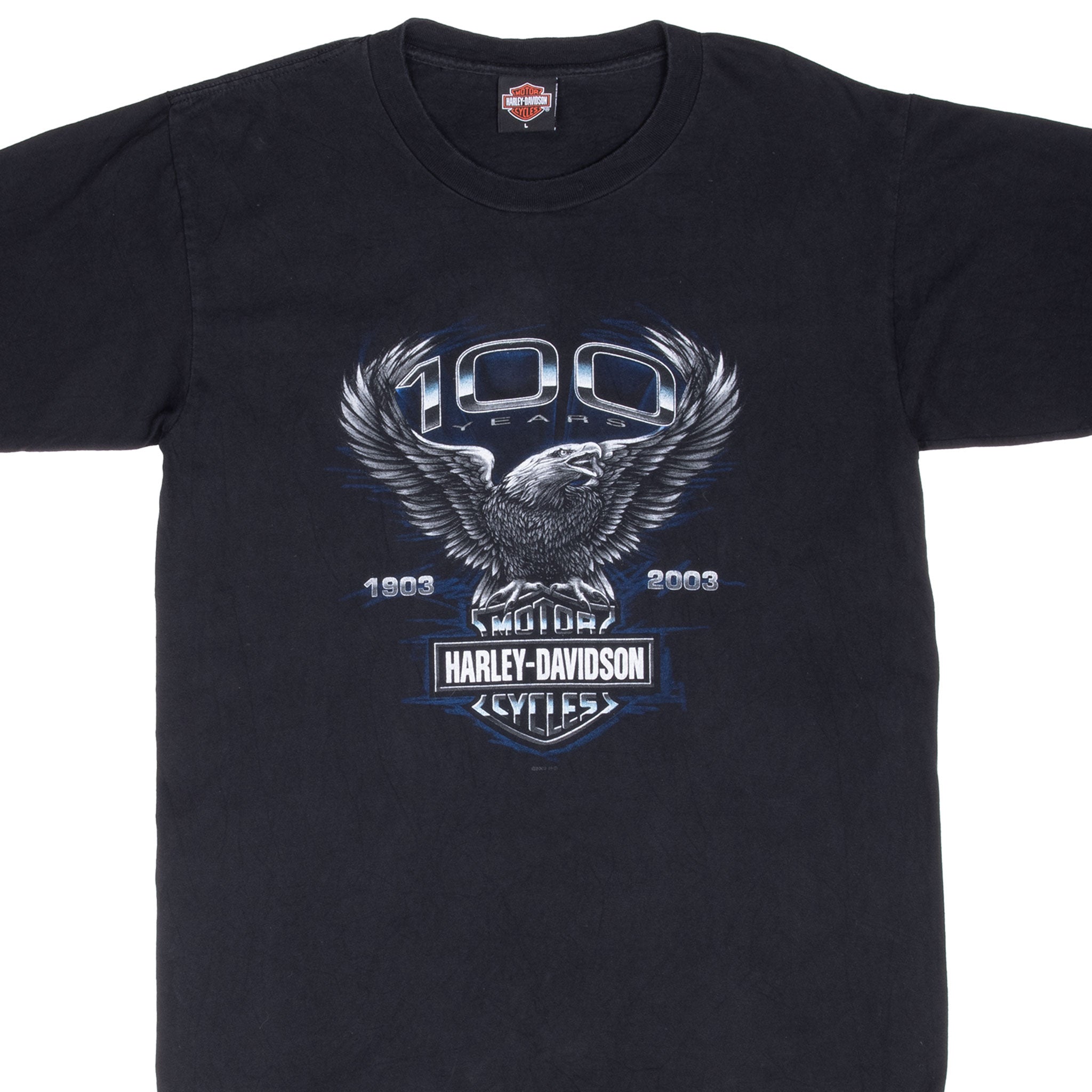 VINTAGE HARLEY DAVIDSON TALLAHASSEE FLORIDA 2003 TEE SHIRT LARGE MADE USA