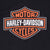 Vintage Harley Davidson Chicago Tee Shirt 2005 Size Large Made In USA