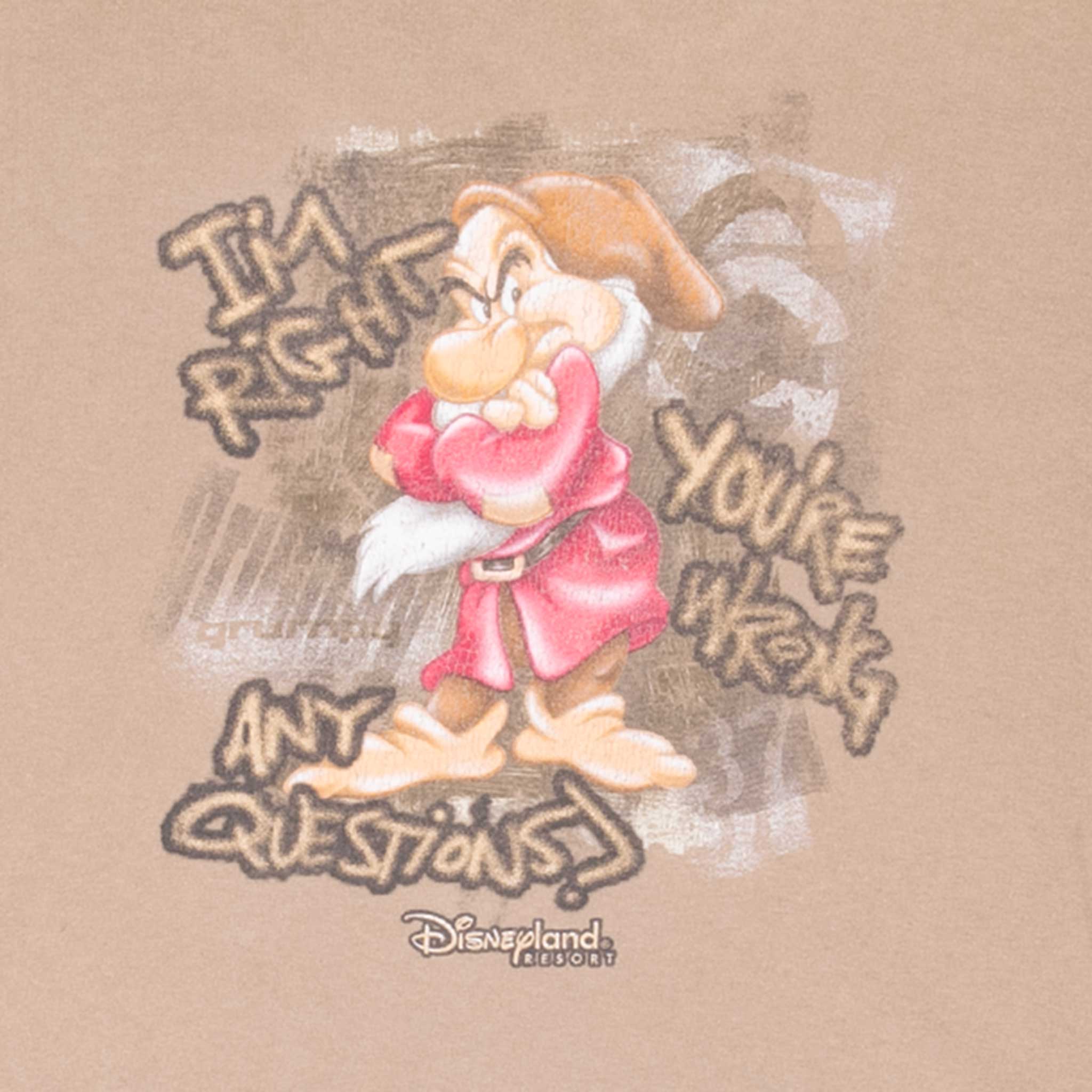 Vintage Disney Snow White And The Seven Dwarfs Grumpy Tee Shirt 2000S Size 2XL