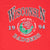 Vintage Ncaa Wisconsin Badgers Rose Bowl 1994 Tee Shirt Size XL Made In Usa