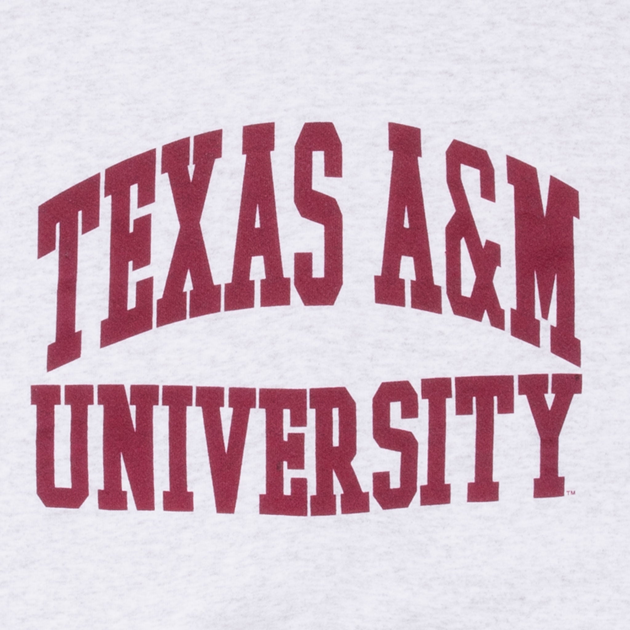 Vintage Texas A&M University Sweatshirt Size XL 1990S Made In Usa