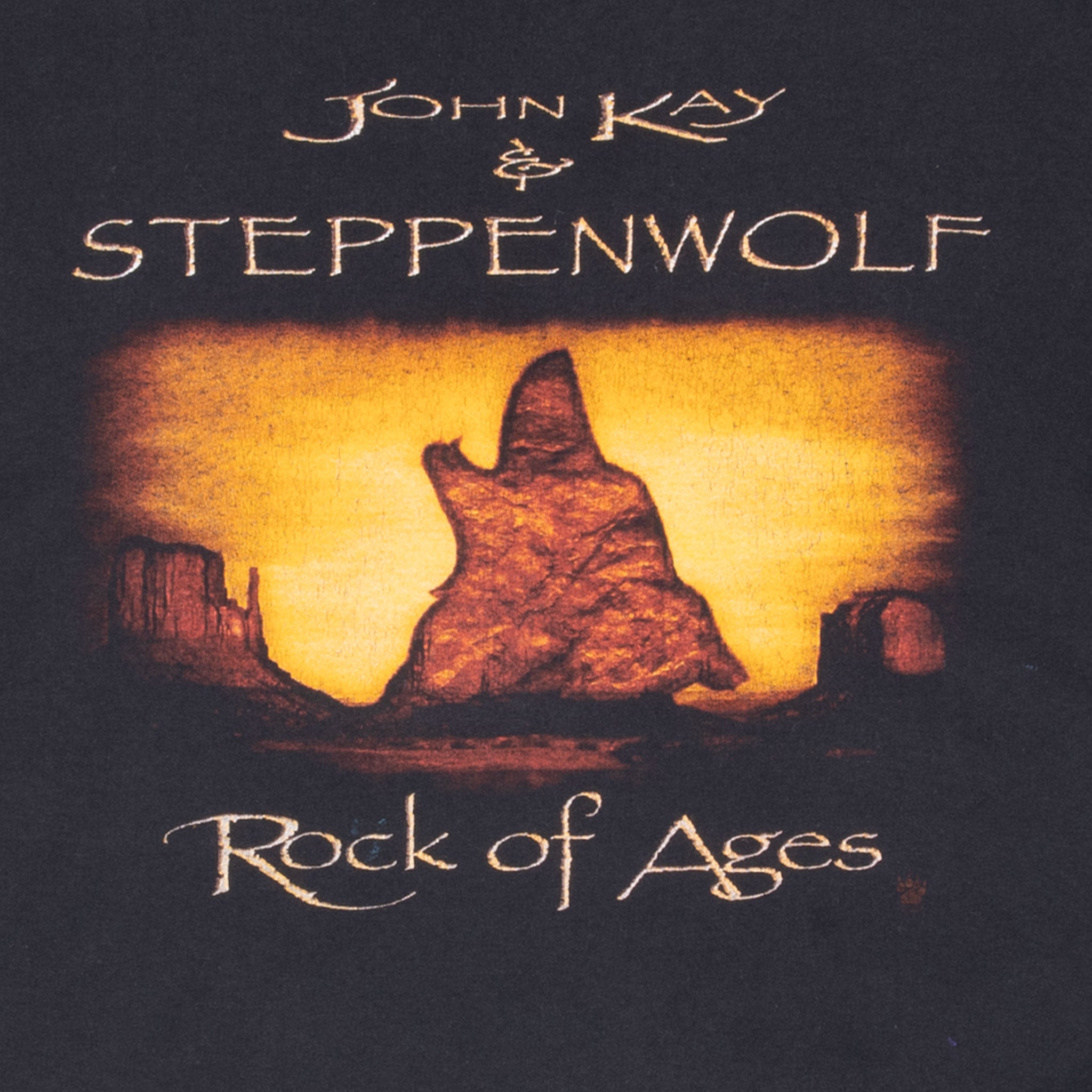 Vintage John Kay & Steppenwolf 35Th Anniversary Tour Tee Shirt 2002 Size Large

