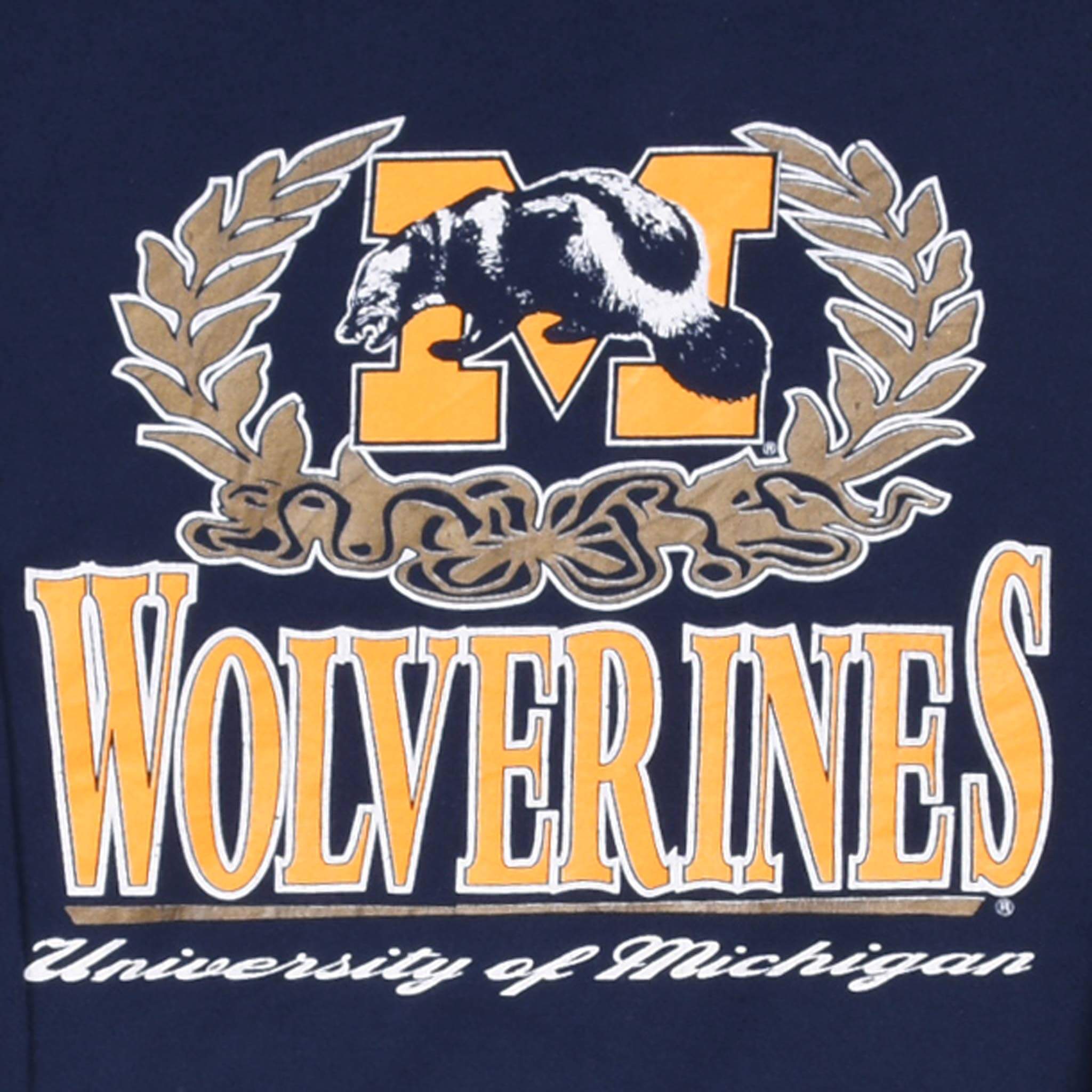 Vintage Ncaa Michigan Wolverines 1990S Sweatshirt Size Large Made In Usa