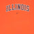 Vintage Nike Ncaa University Of Illinois Illini 2000S Tee Shirt Size 2XL