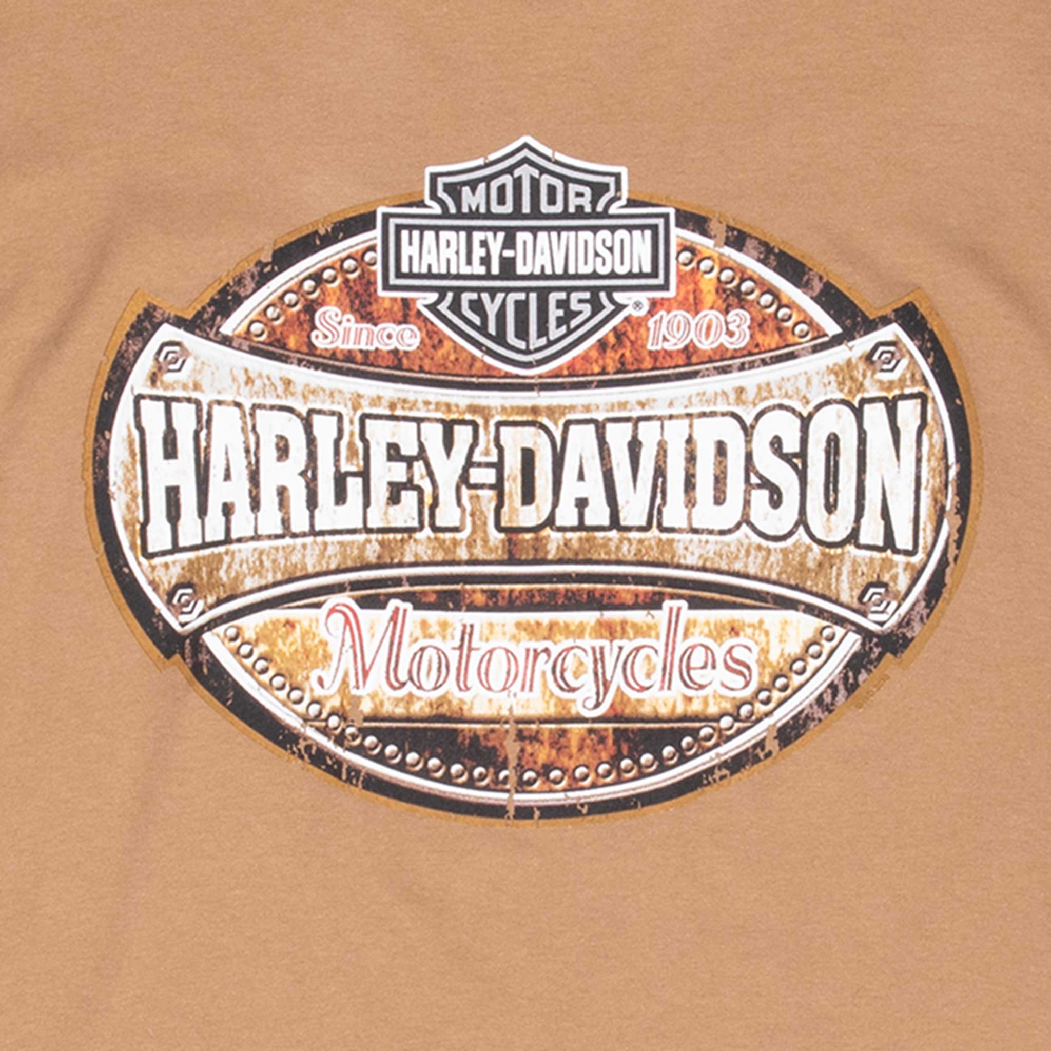 Vintage Harley Davidson Texas 2000S Tee Shirt Size 2XL