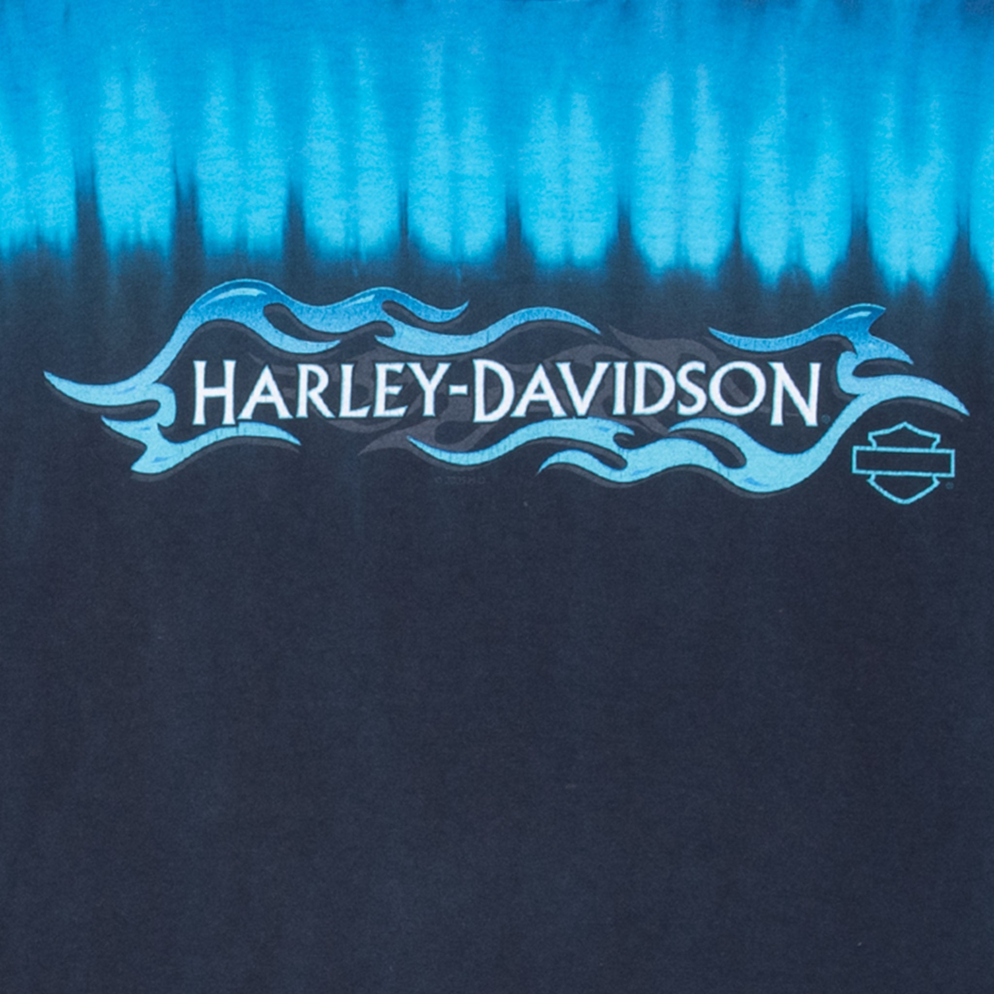 Vintage Harley Davidson Daytona Beach 2000 Tie Dye Tee Shirt With SIngle Stitch Sleeves Size Large Made In Usa