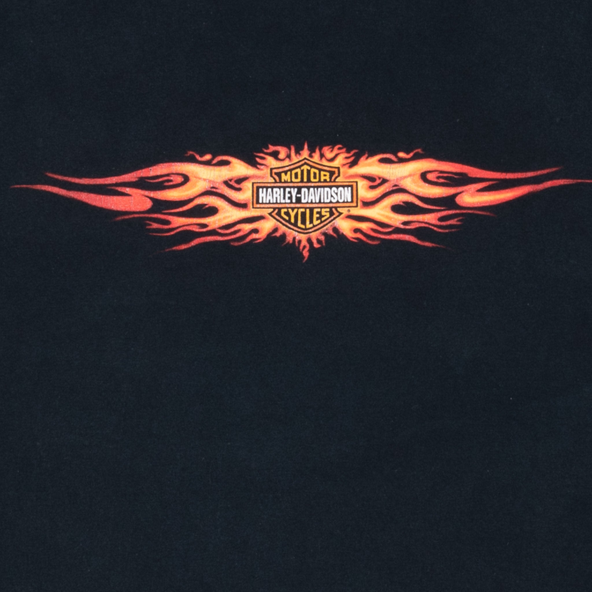 VINTAGE HARLEY DAVIDSON FLAME LONG SLEEVE TEE SHIRT 2002 XL