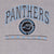 Vintage NFL Carolina Panthers Embroidered 1990S Grey Sweatshirt Size XL