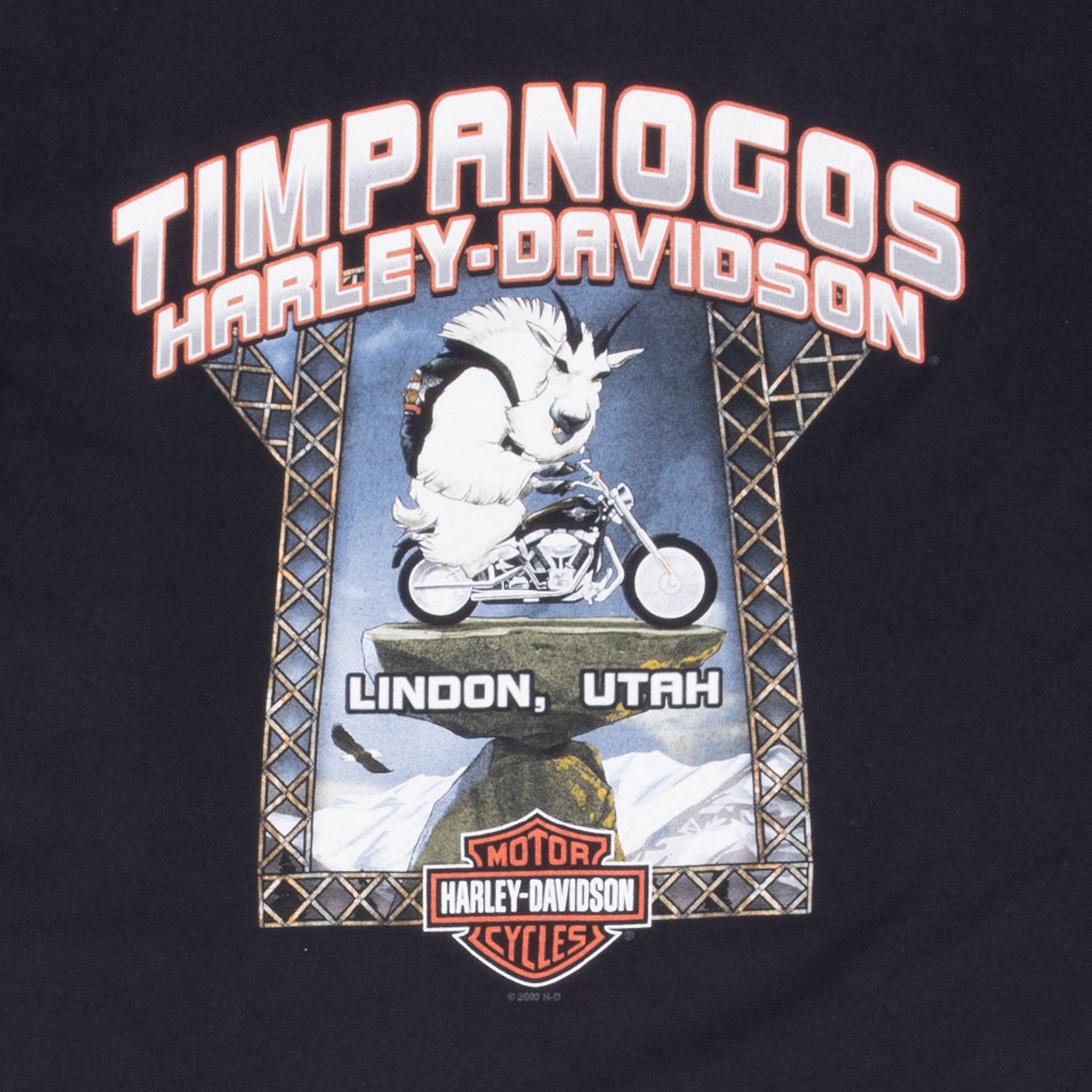 Vintage Harley Davidson Brothers Lindon Utah Tee Shirt 2008 Size Large Made In Usa