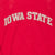 Vintage Ncaa Nike Iowa State University Full Zip Hoodie Sweatshirt 1990S Size Large