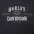 Vintage Harley Davidson Fairbanks Alaska 2006 Tee Shirt Size Large Made In Usa