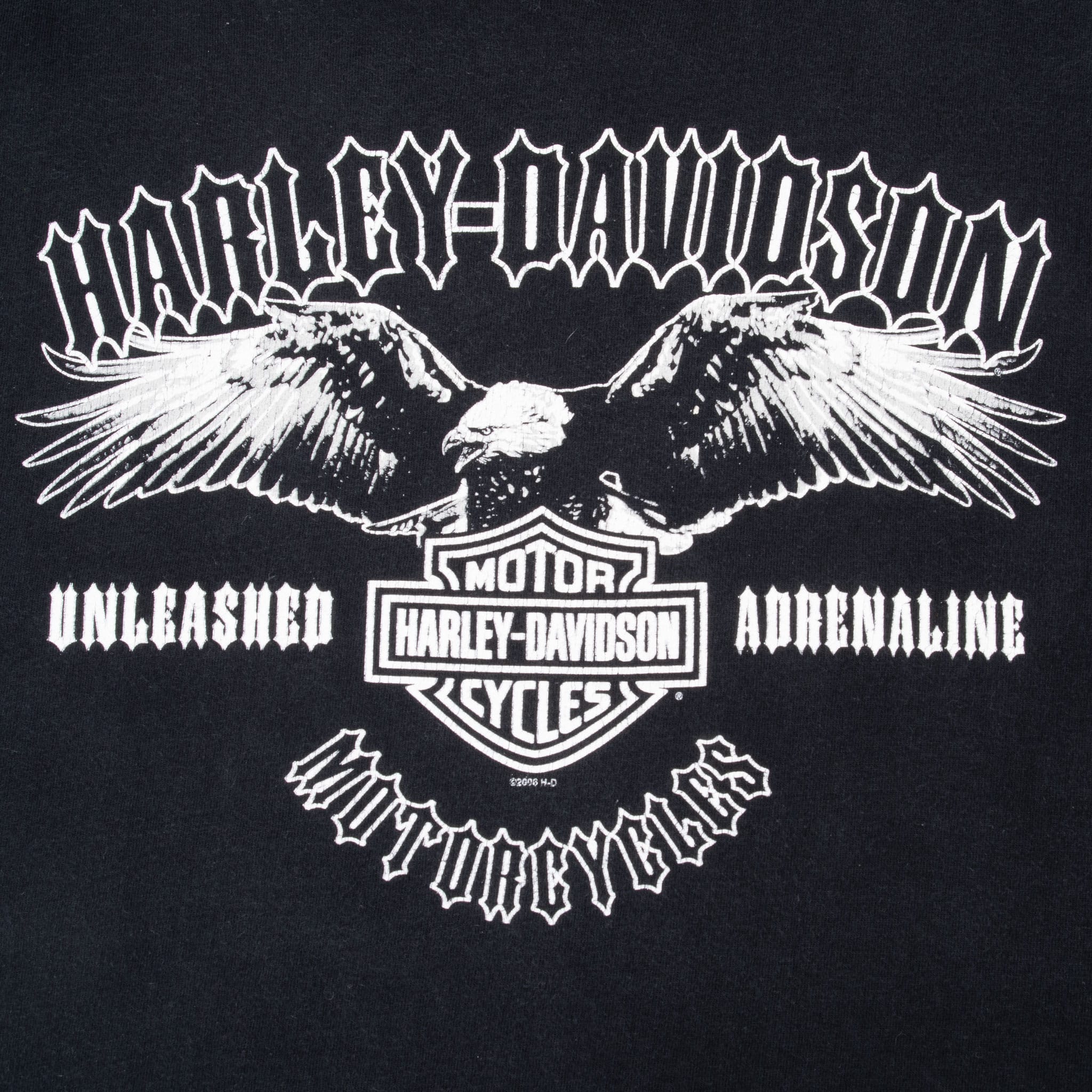 Vintage Harley Davidson Tampa Florida 2006 Tee Shirt Size Large Made In Usa