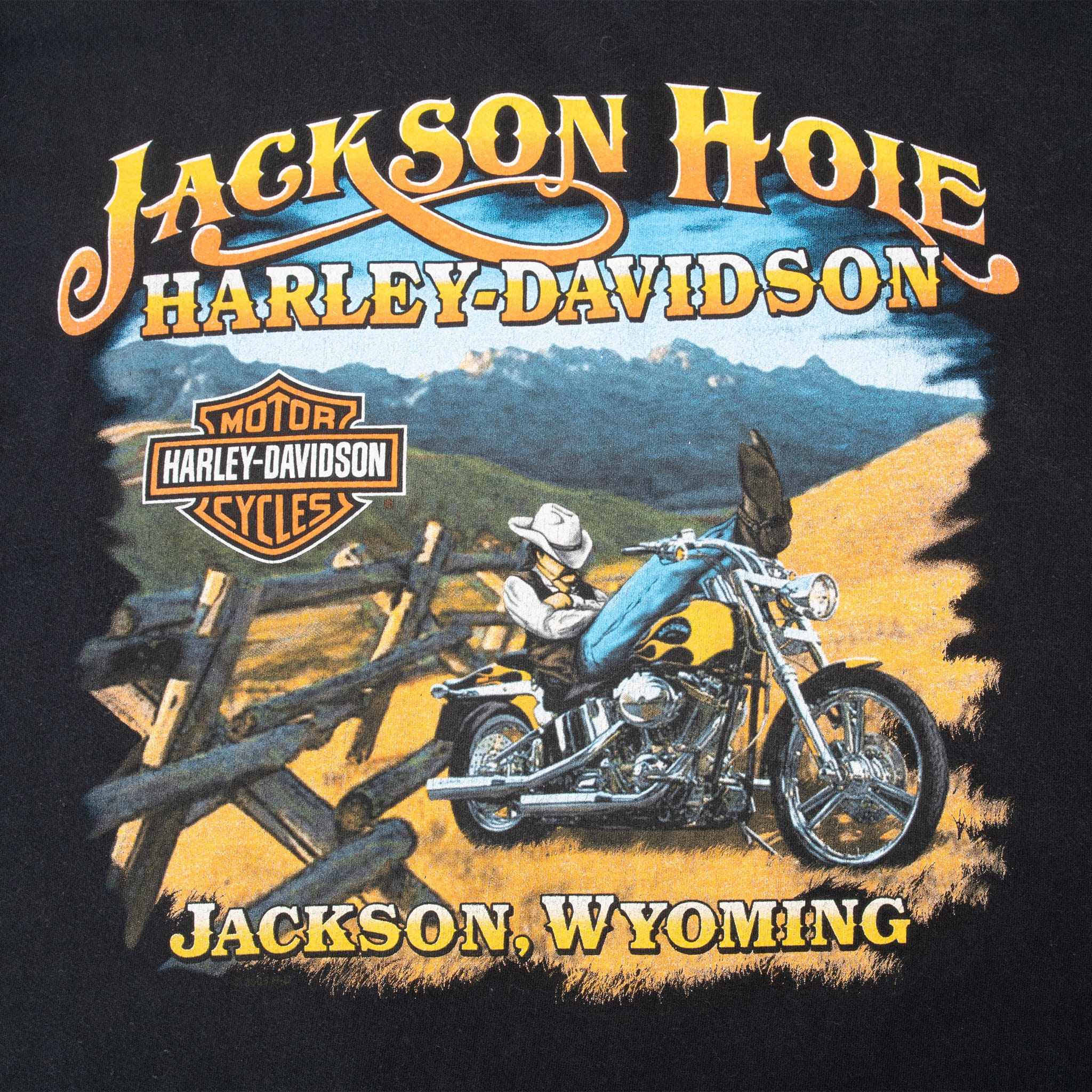 VINTAGE HARLEY DAVIDSON JACKSON WYOMING 2010 TEE SHIRT 2XL MADE IN USA