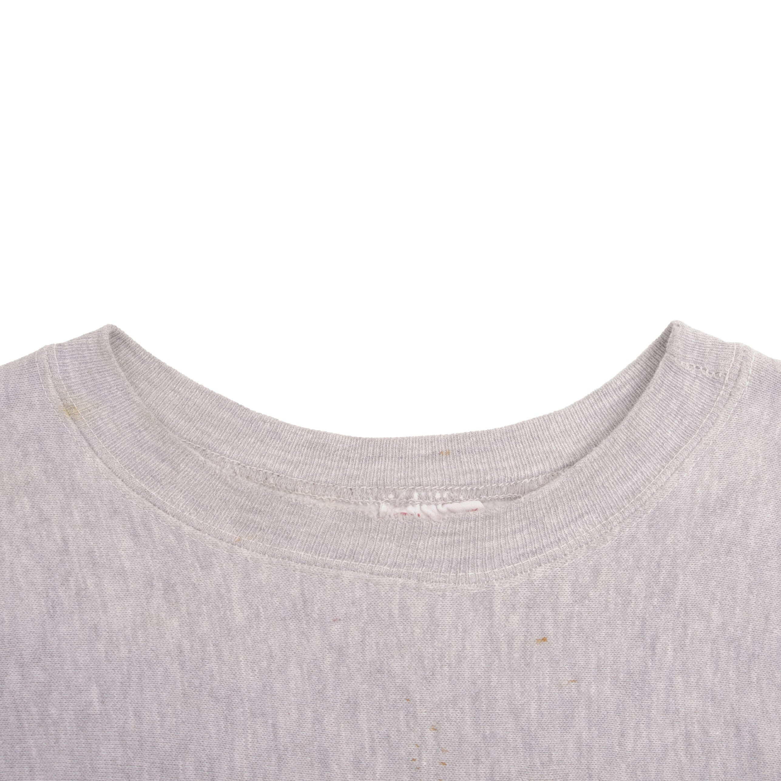 Vintage Champion Carolina Gamecocks Football Reverse Weave Sweatshirt 1970S Size Large Made In Usa