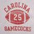 Vintage Champion Carolina Gamecocks Football Reverse Weave Sweatshirt 1970S Size Large Made In Usa