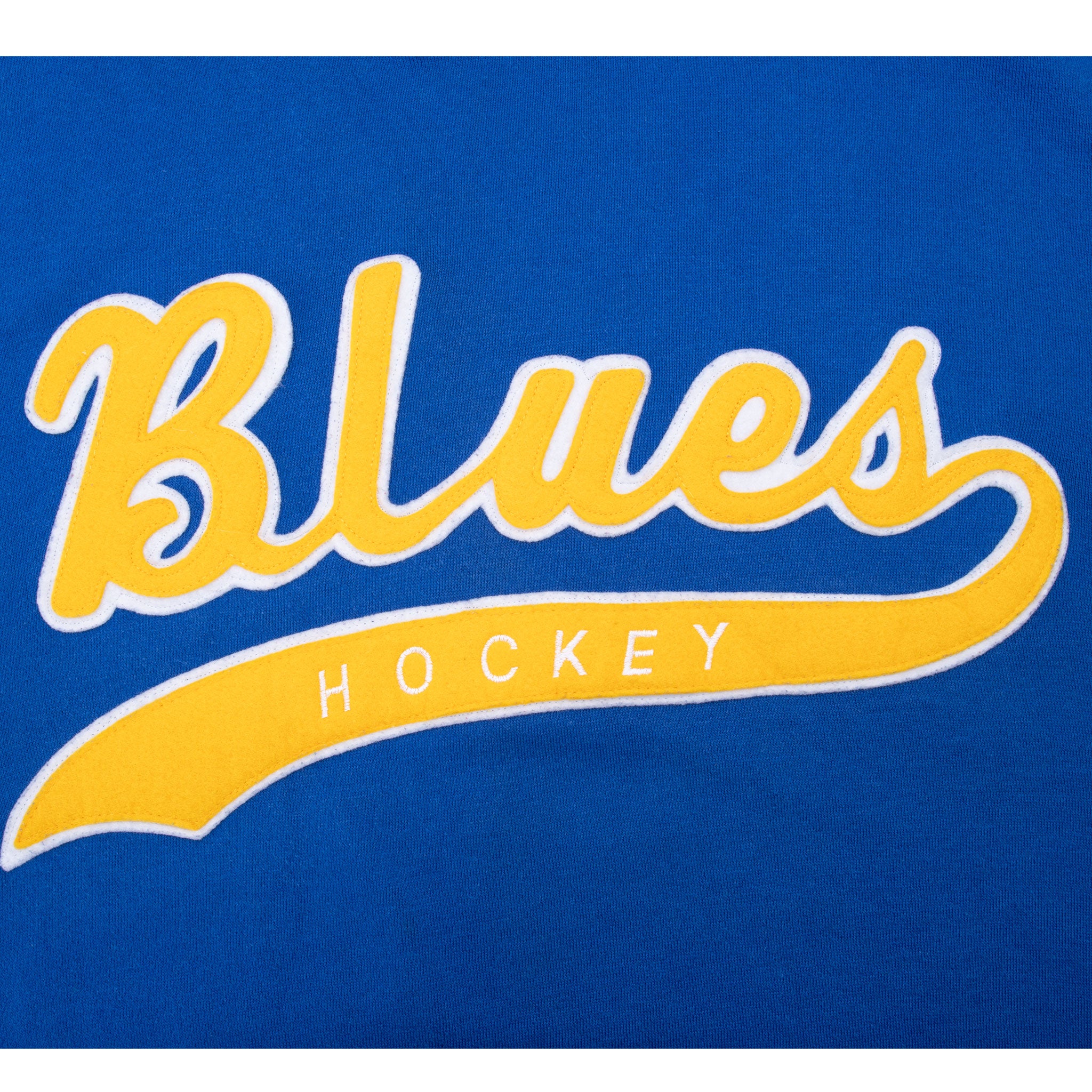 Vintage Nhl St Louis Blues Hoodie Starter Sweatshirt 1990S Size Medium