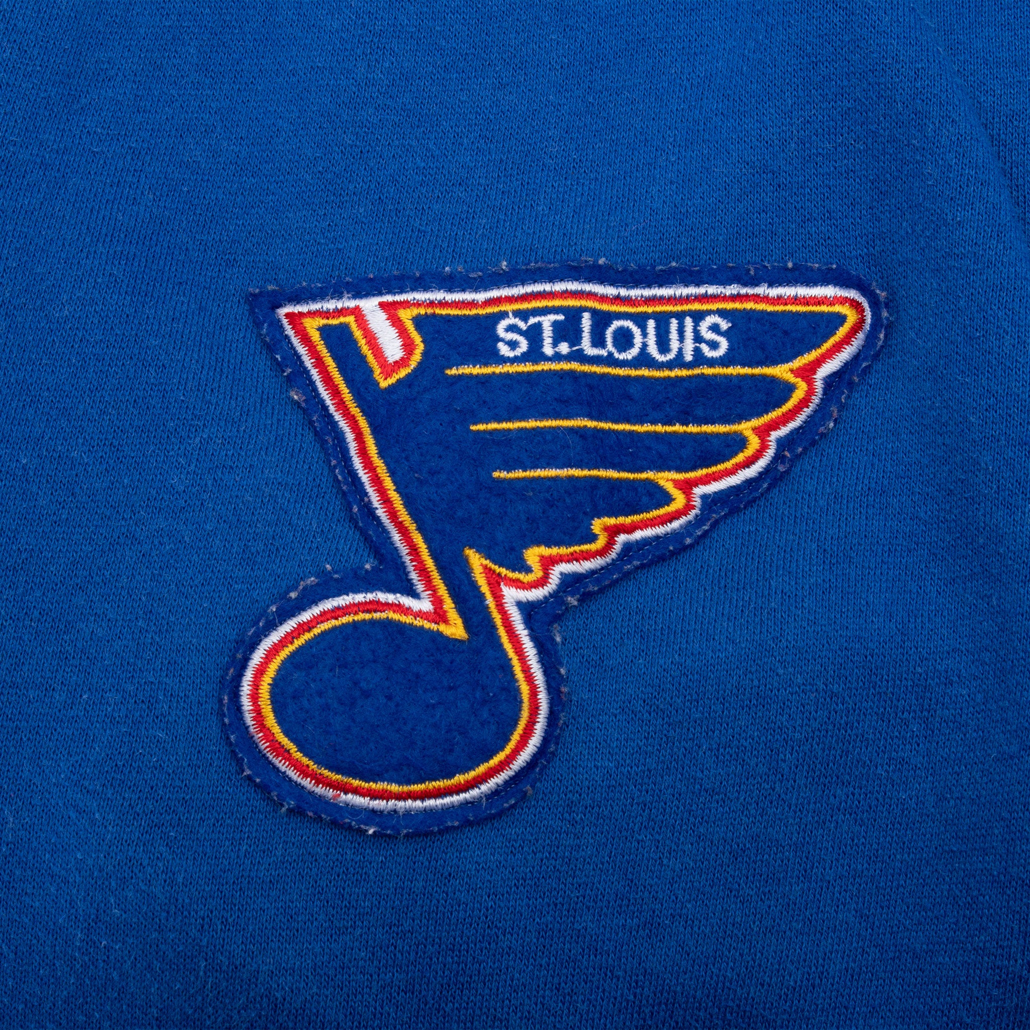 Vintage Nhl St Louis Blues Hoodie Starter Sweatshirt 1990S Size Medium