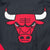 Vintage Nba Chicago Bulls Champion Windbreaker Jacket 1990S Size Large