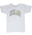 Full front view of gray Champion Richland short-sleeve T-shirt