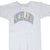 Front of gray Champion T-shirt with arched Richland lettering in blue and gold