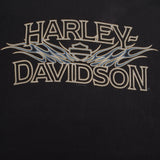 VINTAGE HARLEY DAVIDSON LANCASTER TEE SHIRT 2007 SIZE LARGE MADE IN USA