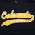 Vintage Ncaa Colorado Golden Buffaloes Hoodie Sweatshirt 1990S Size Medium