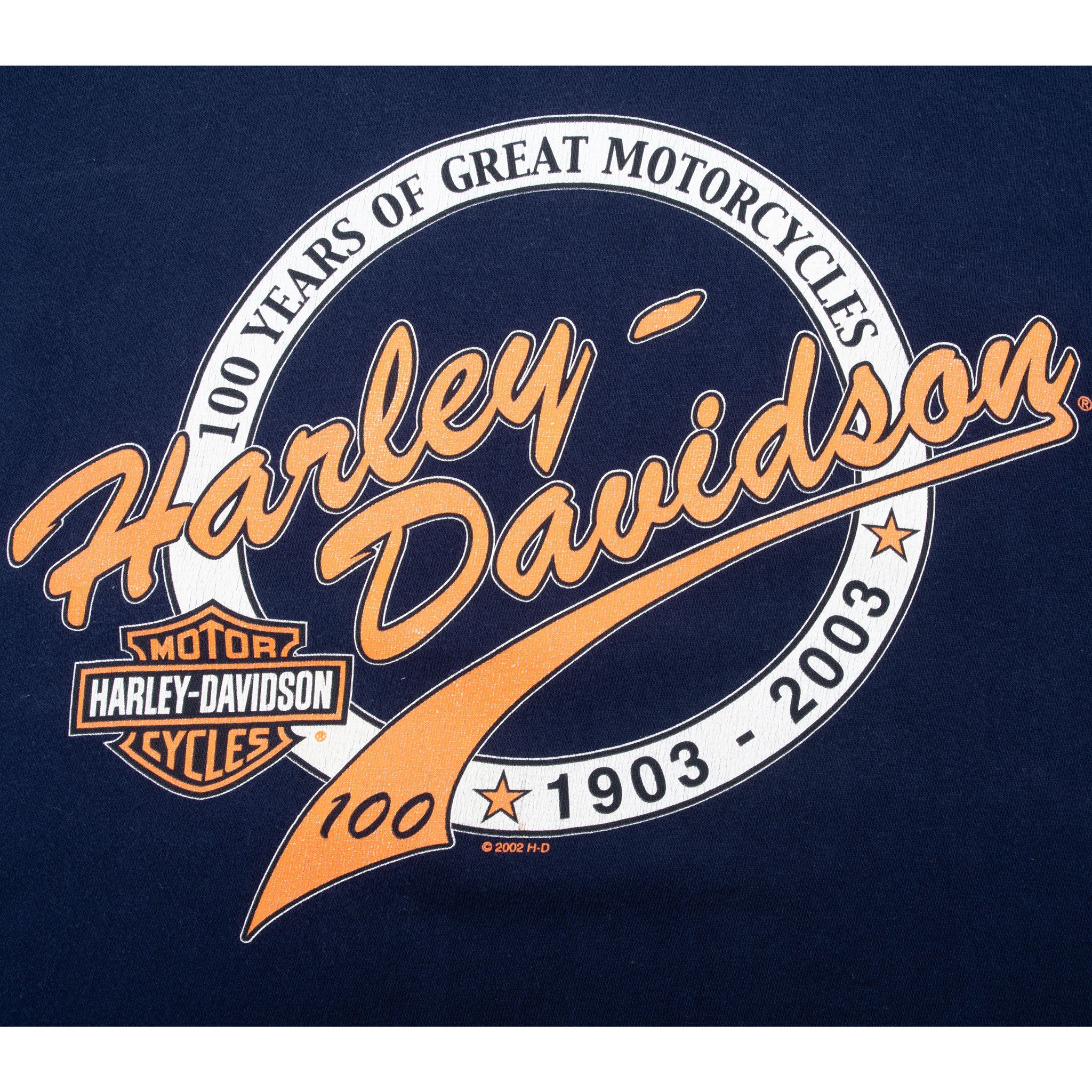 Vintage Harley Davidson Maui Hawaii 2003 100Th Anniversary Tee Shirt Size Large Made In Usa