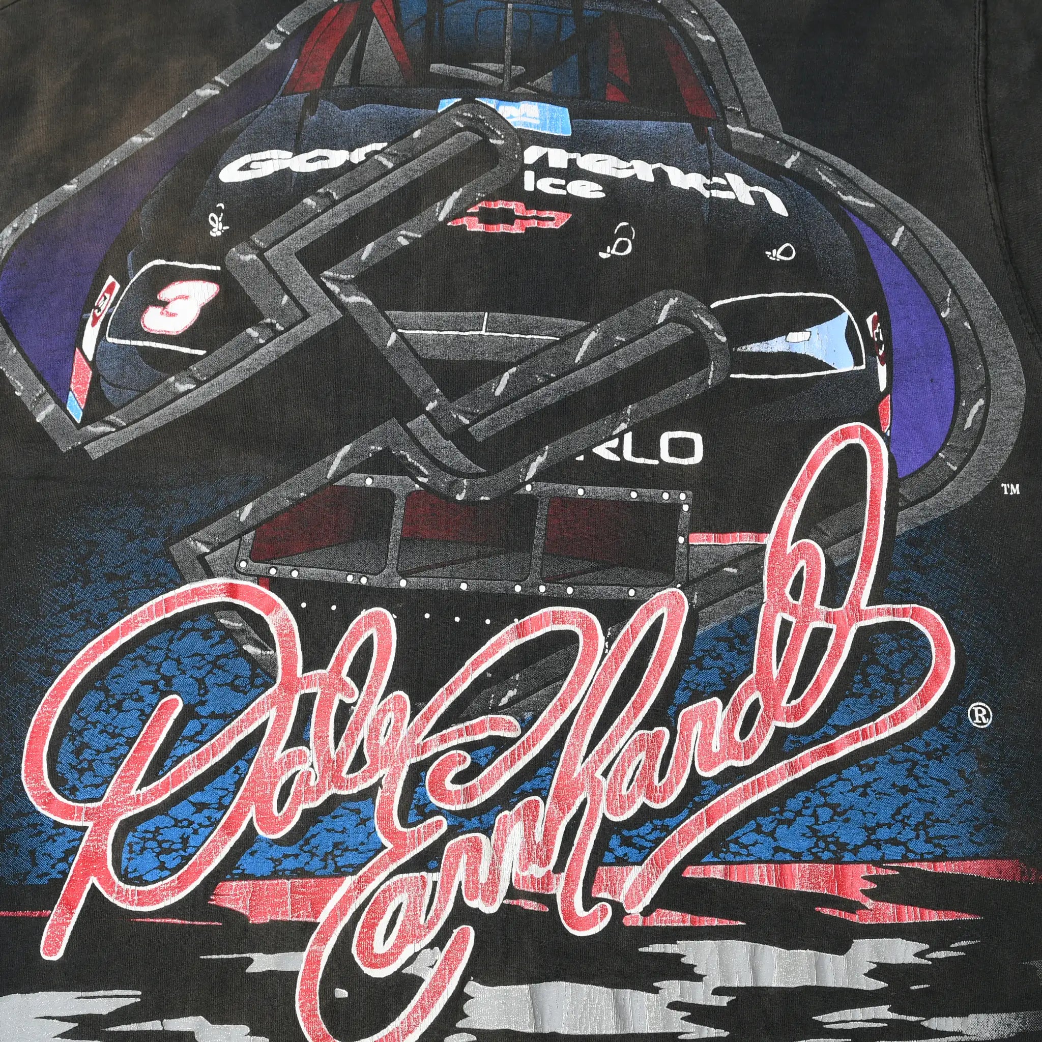 Close-up of back print with black No. 3 race car and large Dale Earnhardt signature