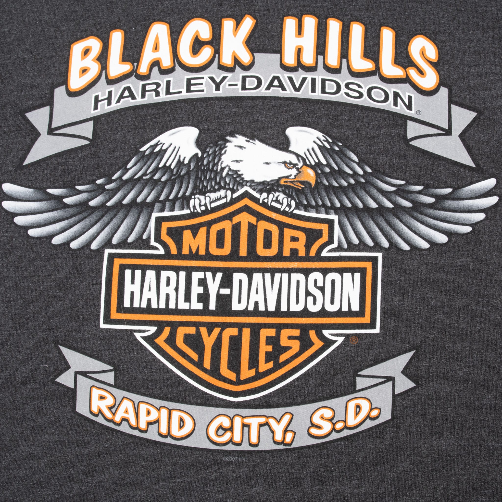 Vintage Harley Davidson Rapid City South Dakota Black Hills Hoodie Sweatshirt 2007 Size 2XL