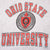 VINTAGE CHAMPION REVERSE WEAVE OHIO STATE UNI SWEATSHIRT 1990S LARGE MADE USA
