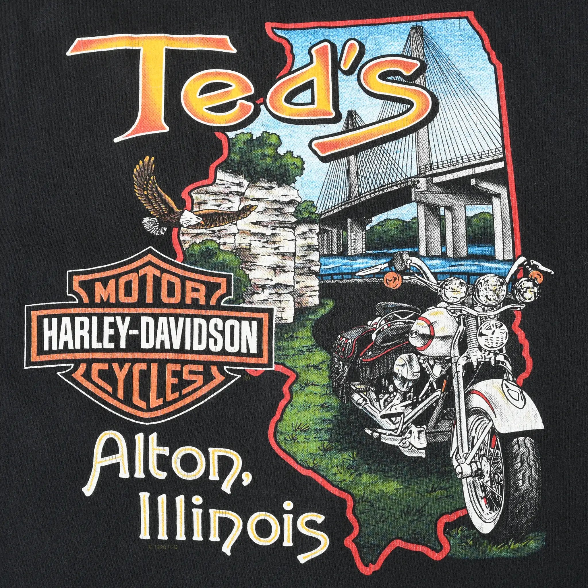 Close-up of Ted's Harley-Davidson Alton, Illinois back graphic with motorcycle, bridge, and eagle