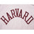 VINTAGE CHAMPION REVERSE WEAVE HARVARD SWEATSHIRT 1990-MID 1990s SIZE LARGE MADE IN USA