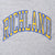 Close-up of arched Richland chest print in gold with blue outlines