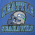Close-up of Seattle Seahawks name and football helmet front print