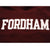 VINTAGE CHAMPION REVERSE WEAVE FORDHAM UNIVERSITY HOODIE SWEATSHIRT EARLY 1990S SIZE XL MADE IN USA