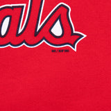 Vintage Nike Mlb St Louis Cardinals Hoodie Sweatshirt 2005 Size Large