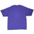 Vintage Nba Sacramento Kings 2000S Tee Shirt Size 2XL