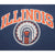 VINTAGE CHAMPION ILLINOIS UNIVERSITY TEE SHIRT 1980S SIZE MEDIUM MADE IN USA