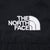 VINTAGE THE NORTH FACE DENALI BLACK FLEECE VEST JACKET LARGE