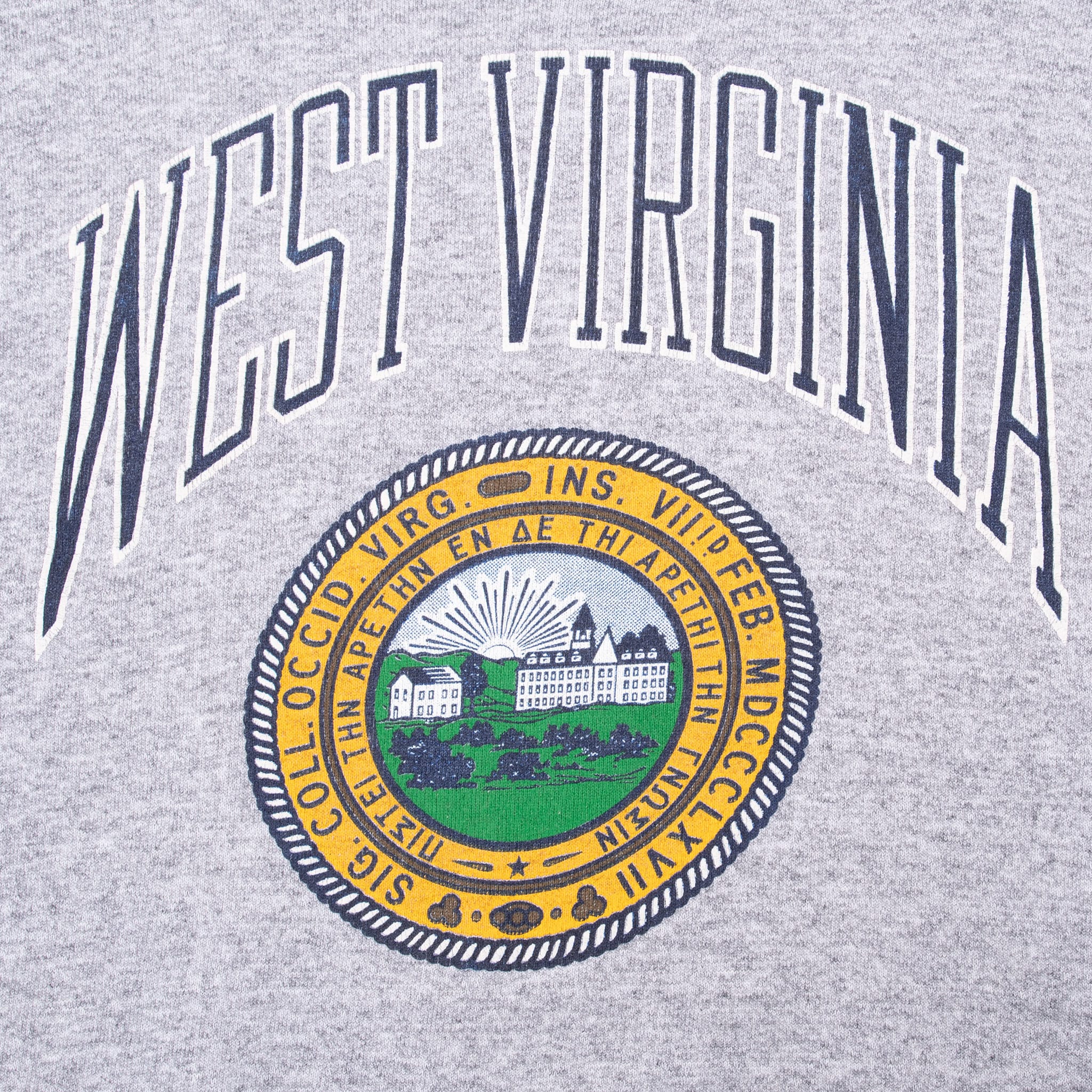 VINTAGE WEST VIRGINIA GREY SWEATSHIRT 1980S LARGE MADE IN USA