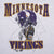 Vintage Nfl Minnesota Vikings 1996 Grey Sweatshirt Size XL