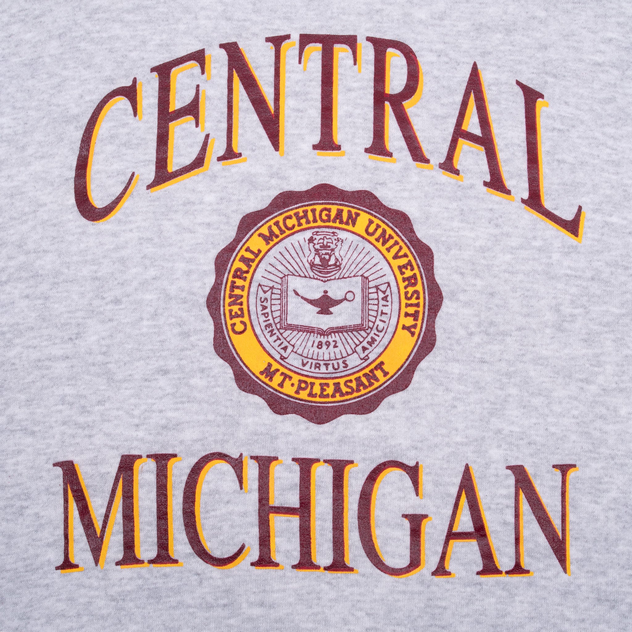 Vintage Ncaa Central Michigan University 1990S Sweatshirt Size Large Made In Usa