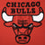 Vintage NBA Chicago Bulls 1990S Nutmeg Mills Sweatshirt Size Large Made In USA