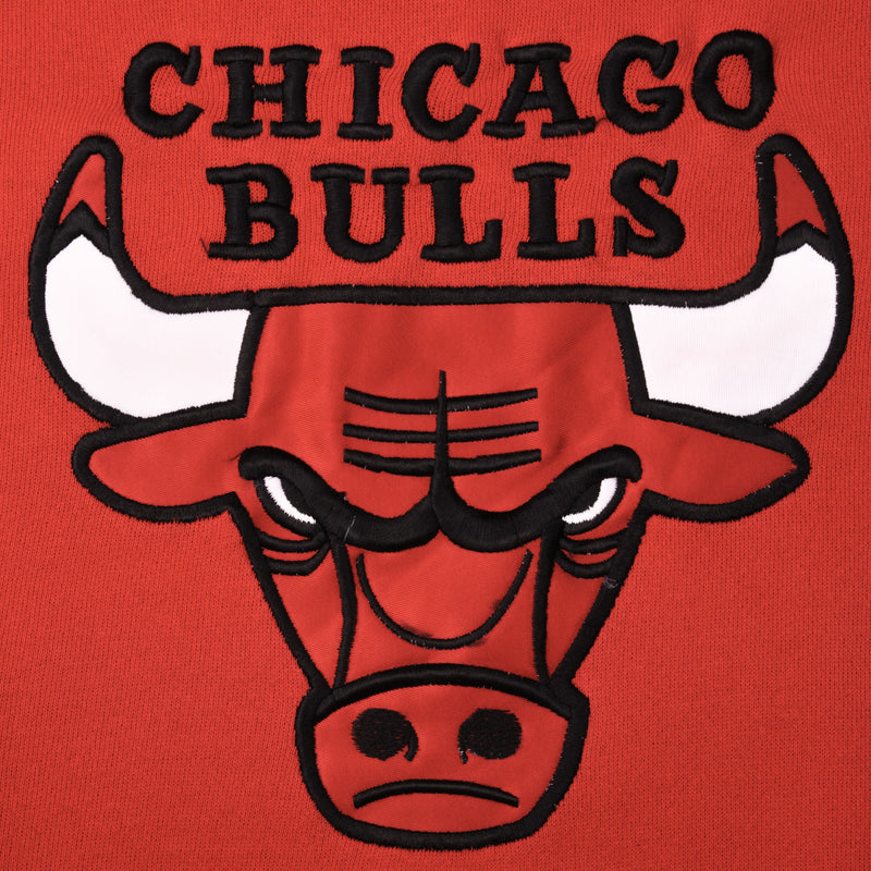 Vintage NBA Chicago Bulls 1990S Nutmeg Mills Sweatshirt Size Large Made In USA