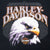 VINTAGE HARLEY DAVIDSON SAN BENITO TEXAS TEE SHIRT 2004 XL MADE IN USA
