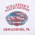 VINTAGE HARLEY DAVIDSON ORWIGSURG TEE SHIRT 2011 3XL