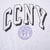 VINTAGE CHAMPION CITY COLLEGE NEW YORK CCNY SWEATSHIRT 1990S 2XL MADE IN USA