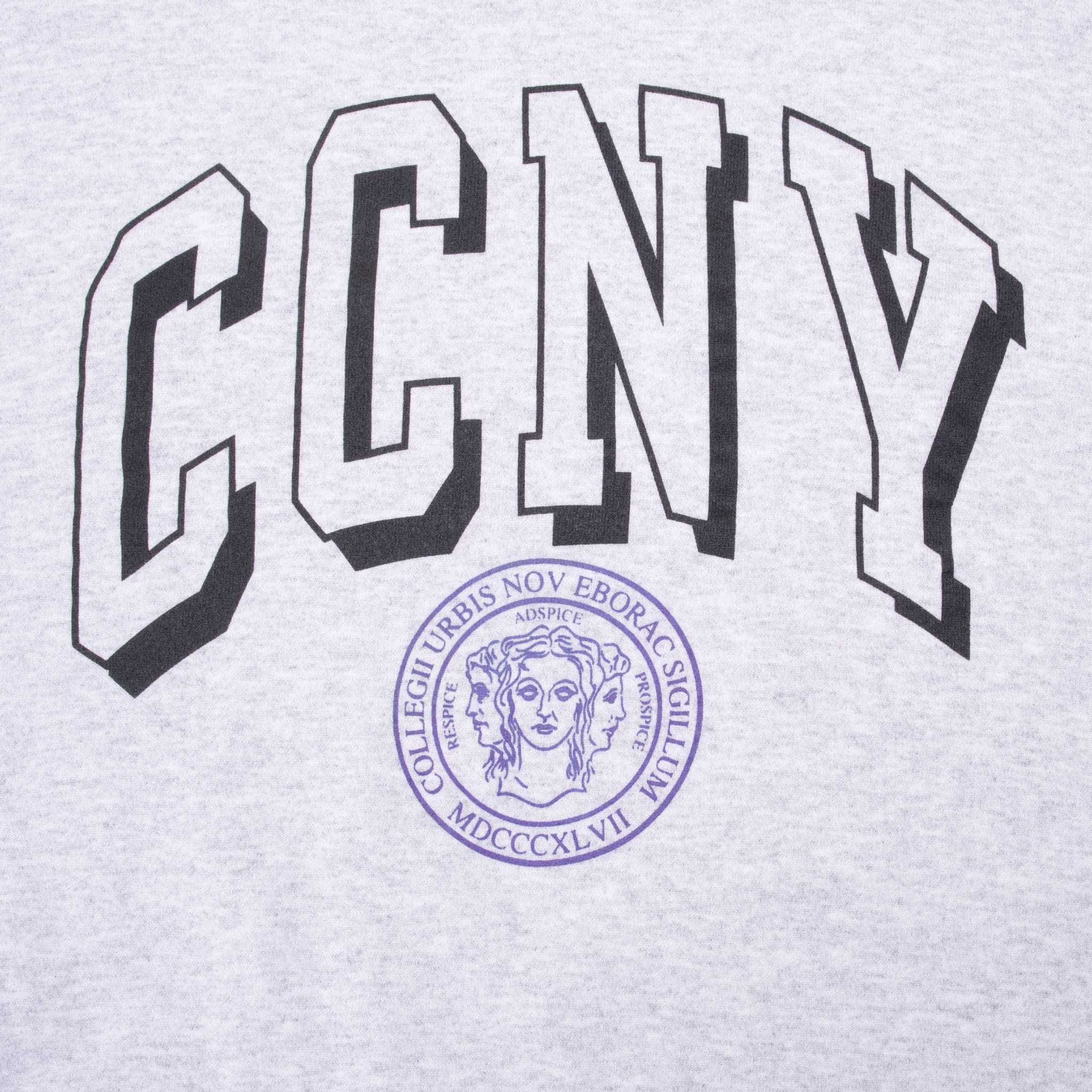 VINTAGE CHAMPION CITY COLLEGE NEW YORK CCNY SWEATSHIRT 1990S 2XL MADE IN USA