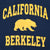 Close-up of gold California Berkeley lettering and bear graphic on navy sweatshirt