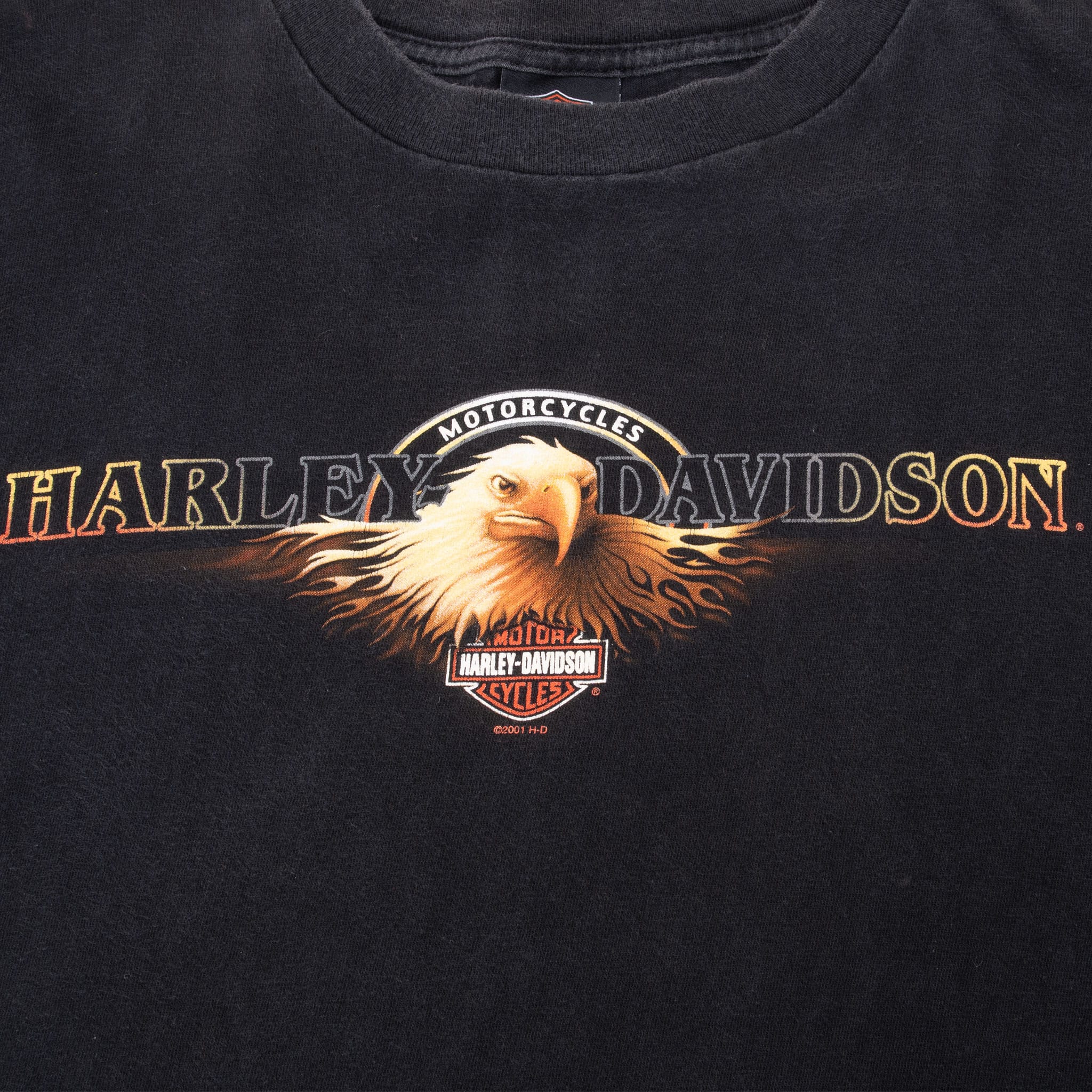 Vintage Harley Davidson Rice Lake Wisconsin Tee Shirt 2001 Size XL Made In Usa